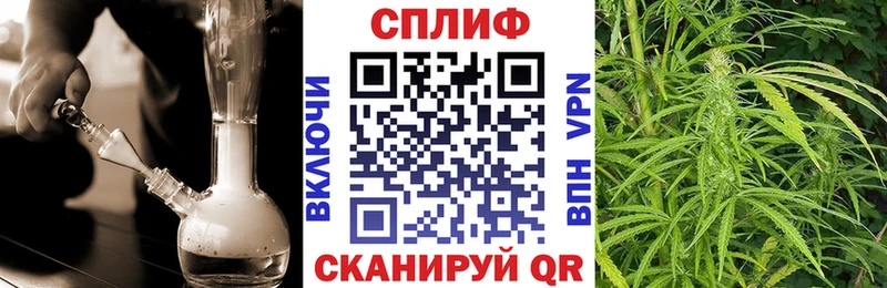 Купить где  Каменка  Бошки марихуана конопля 